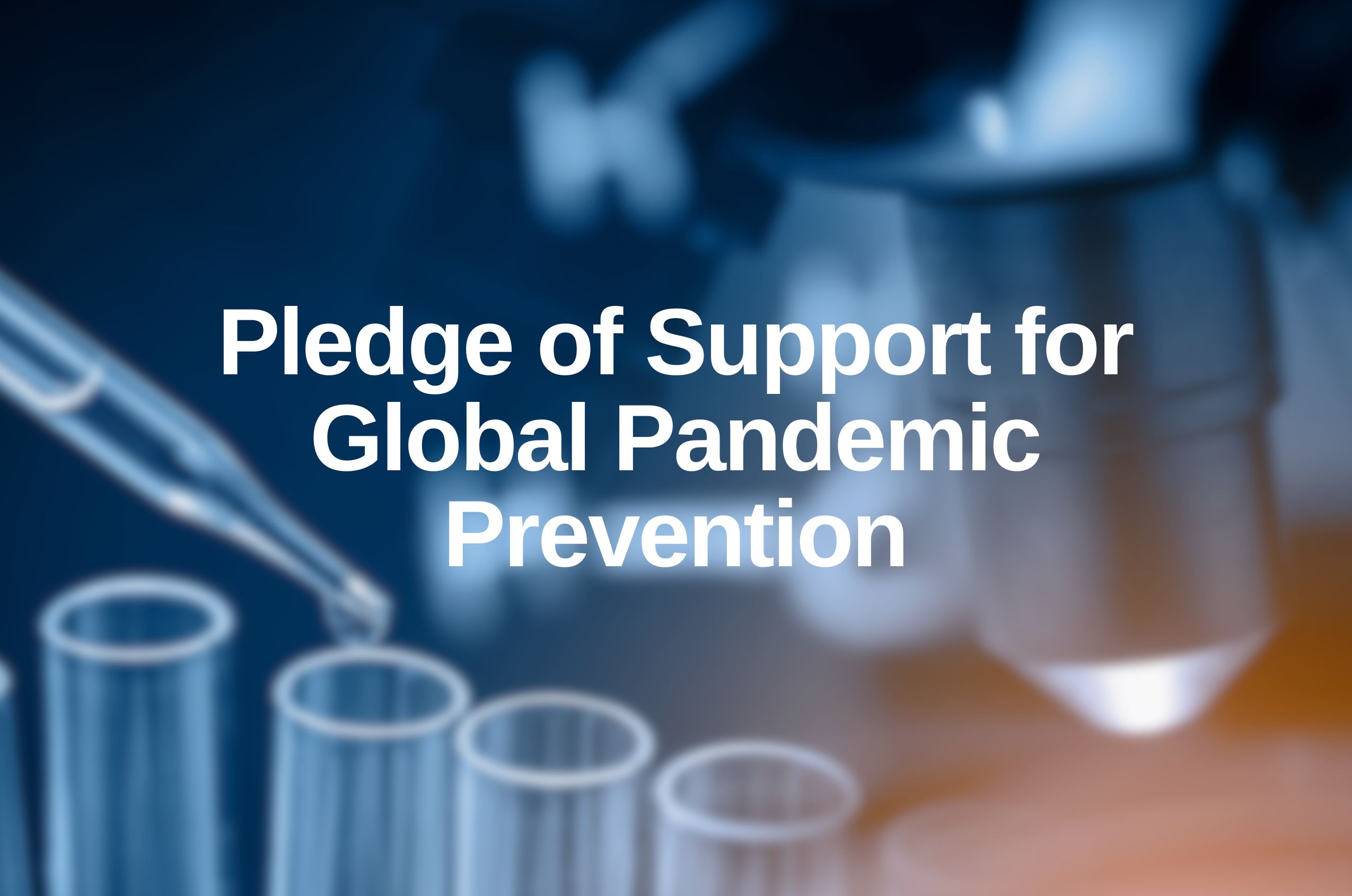 Pledge of Support header image